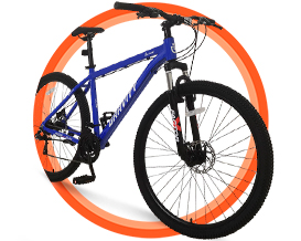 BICICLETAS