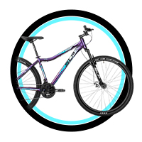 Bicicletas